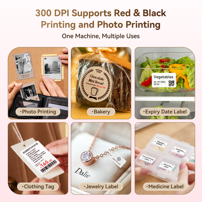 NIIMBOT - B2 Pro 300dpi Bluetooth Label Printer Incl Label Roll