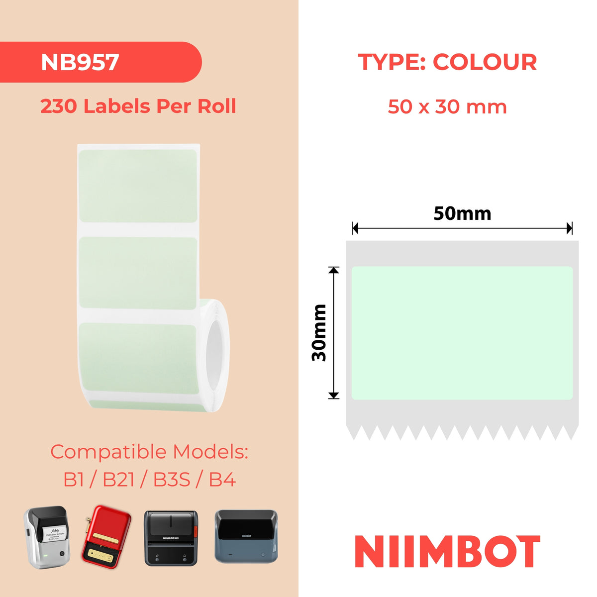 NIIMBOT - B Range - 50x30mm - Light Green - 230 Labels
